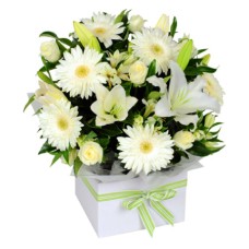 Scented Snow (Base)