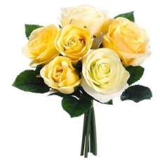 Yellow Roses (BASIC)