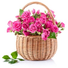 Profumo Rosa (Base)