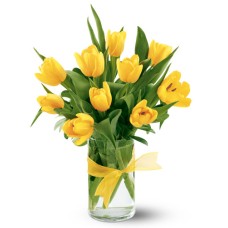 Tully tulip (BASE)