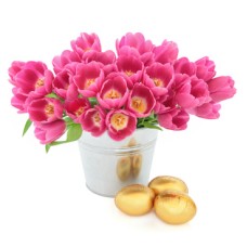 Fuchsia Easter (BASE)