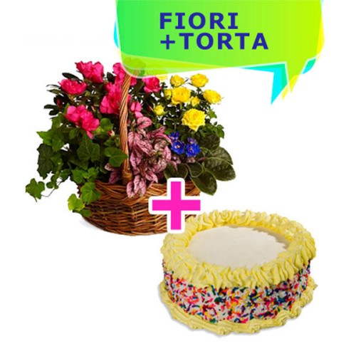 Flower Basket & Cake (BASIC)