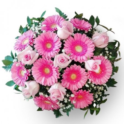 Allegro Pink