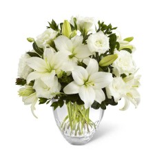 White Candor (Basic)