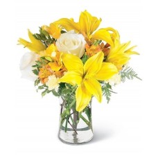 Yellow whiteness (DELUXE)