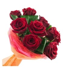 Velvety roses (Base)