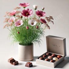 Cosmea and Chocolates (Base)