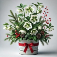 Hellebore Plant (Basic)