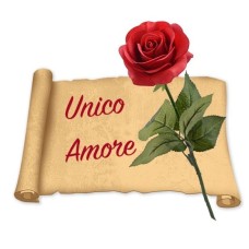 Red Rose & Poetry