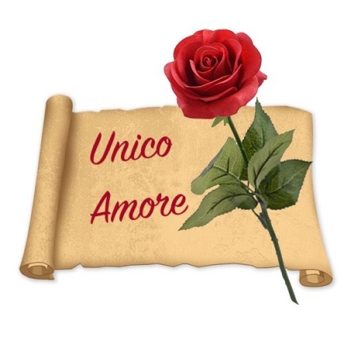 Red Rose & Poetry