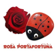 Love & Luck