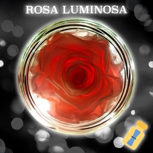 Bright Rose and Message