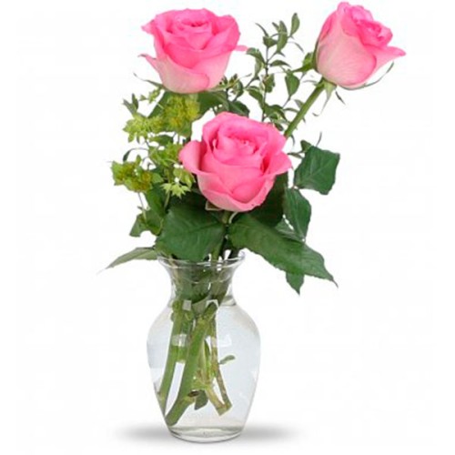 Pink Tris (SPECIAL)
