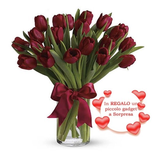 Red Tulips (DELUXE)