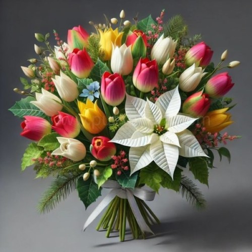 A star from Tulips (Basic)