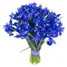 12 Irises