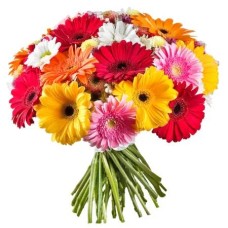 12 Gerberas Selection