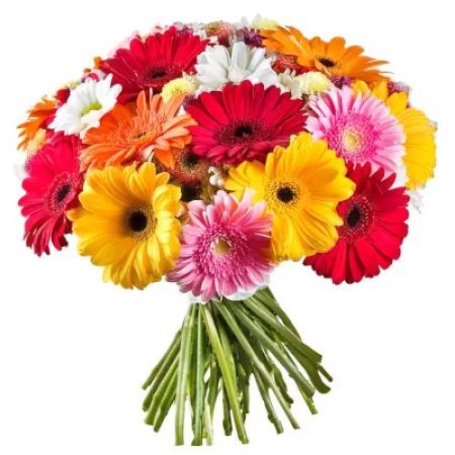 12 Gerberas Selection