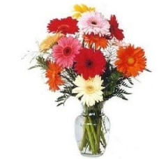 Gerbera Daisies Bouquet