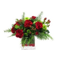 Special Carnations