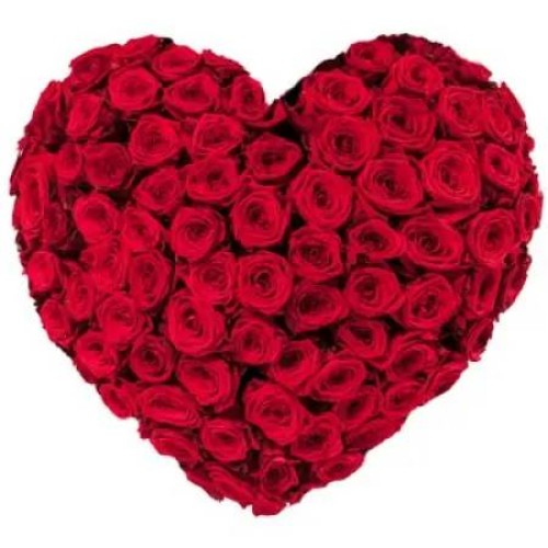 Valentine Heart