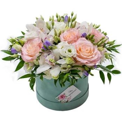 Potted Display