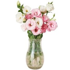 Elegantly Simple