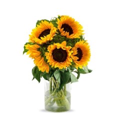 5 sunflowers