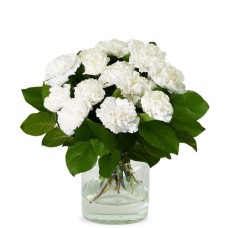 White carnations bouquet (Small)