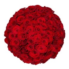 60 Red Roses - Premium Red Naomi