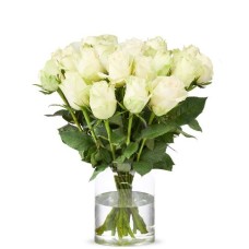 20 White Roses (40 cm)