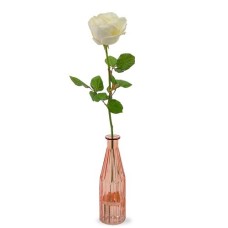 White rose gift | Incl . Vase
