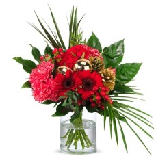 Red Classic (Small)