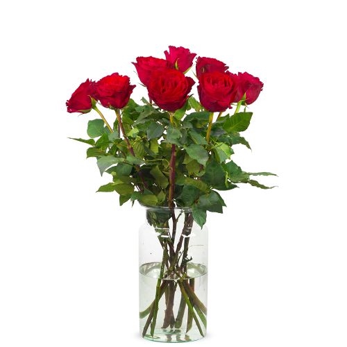 10 red roses
