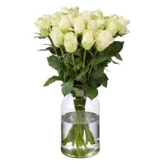 20 White Roses (50 cm)