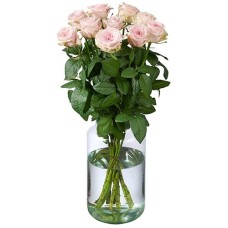 10 Pink Roses Premium