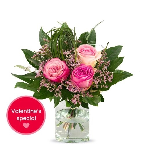 Valentine pink roses