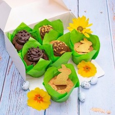 Set of 6 Easter Cupcakes