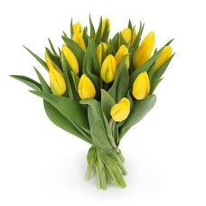 Bouquet Of Yellow Tulips (Little)