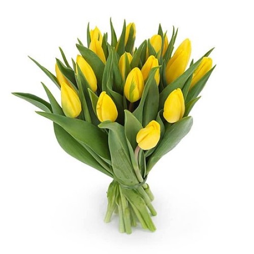Bouquet Of Yellow Tulips (Little)