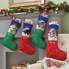Animal Club International Santa Hat Baby Animals Stocking