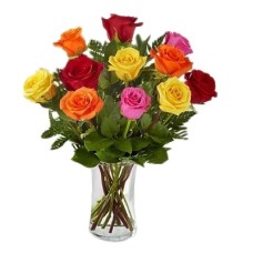 Vivid Roses
