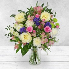 Enchanting Dream (No Vase)