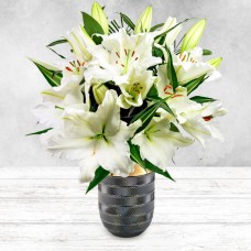 White Lily Bouquet (No Vase)
