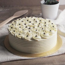 Choc-o-cheese 8 inch