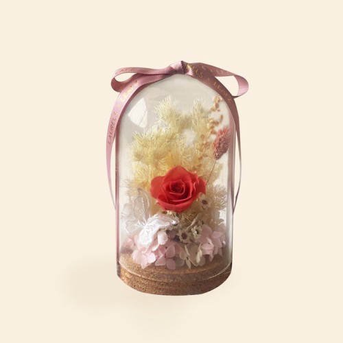 Catiana Preserved Rose Bell Jar (preserved flower)