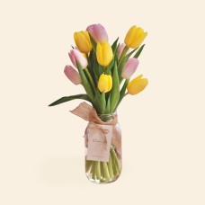 Pink & Yellow Tulip in Jar