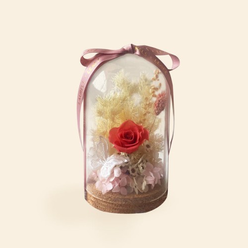 Catiana Preserved Rose Bell Jar