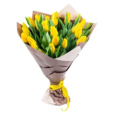 yellow tulips (Deluxe)