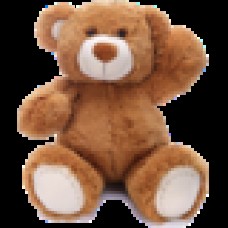 CC-Teddy Bear